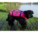 Gilet sauvetage pour chien